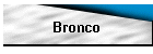 Bronco
