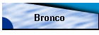 Bronco