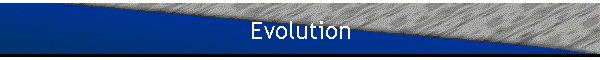 Evolution