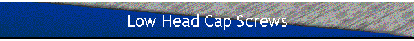 Low Head Cap Screws