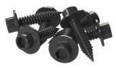 Black socket head servo screws